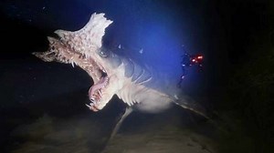 527K views · 5.7K reactions | Mysterious Underwater Creatures That Only Exist In The Mariana Trench | Most Amazing Top 10 | Facebook