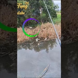 Getting skunked? Use this trick and watch the fish bite instantly! 🎣 #shorts #lurefishing #fishing