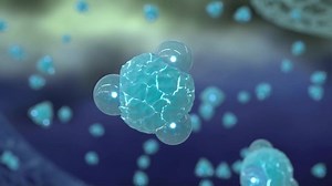 Animation of ATP energy production process detail close up animation