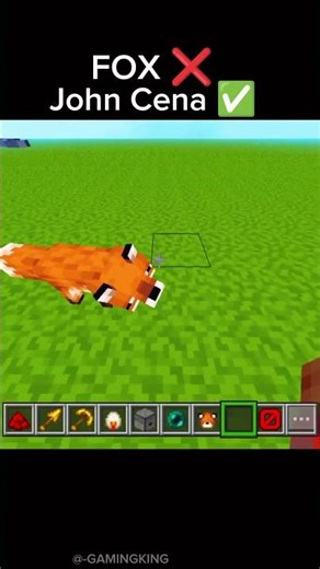 POV: You gave a Fox a Mace... (John Cena Mode) 💀