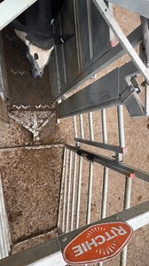 39K views · 251 reactions | Our 3-Way Drafting Gate works perfectly...