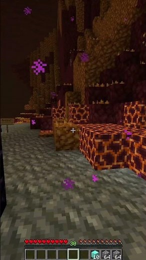 Alex's Mobs Duplication Glitch in Minecraft