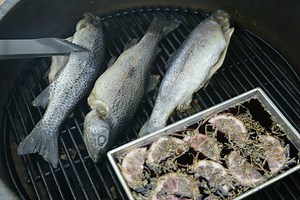 Friday Fish Dinners in Dunedin