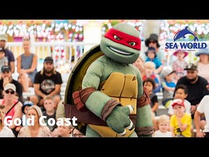 Teenage Mutant Ninja Turtles - Live Full Show at Sea World Gold Coast 🏖️