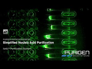 Purigen Isotachophoresis - Simple Charge-based DNA and RNA Extraction