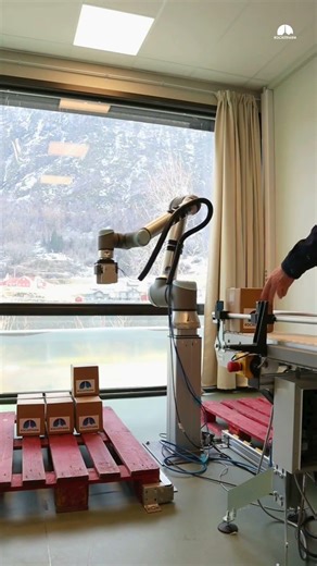 Pally + Mechanical Grippers 🚀 #shorts