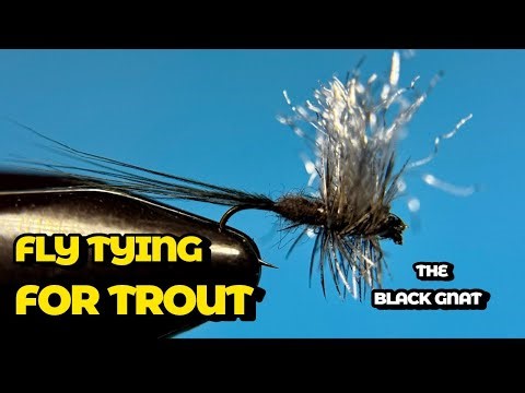 Tying Flies for Trout- How to Tie the Black Gnat!