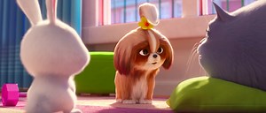 'The Secret Life Of Pets 2' Trailer: Meet Tiffany Haddish's Daisy, Who's Holding Out For A Hero - SlashFilm