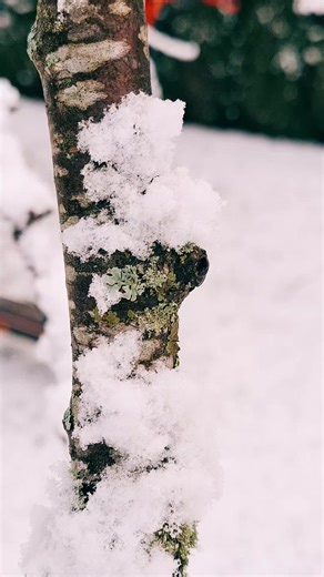 Testing the E7 Pro Scooter in Winter Snow Conditions