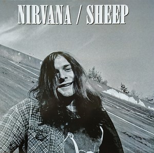 Nirvana - Sheep