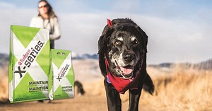 Redpaw X-series Maintain