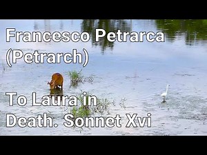 Francesco Petrarca (Petrarch) - To Laura in Death. Sonnet Xvi