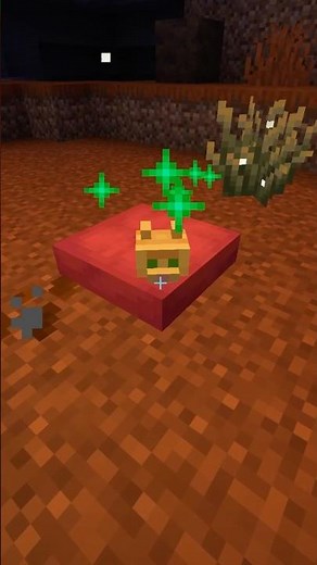 The Dappled Forest is AWESOME! #epic #minecraft #minecraft #subscribe #fyp #fypシ #fypシ゚viral