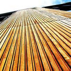 Essential Maintenance for Timber Cladding