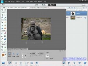 Transformation Tricks in Photoshop Elements 11