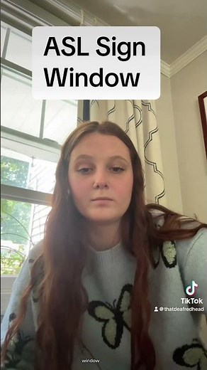 Learn How To Sign "Window" in ASL for Beginners | American Sign Language #shorts