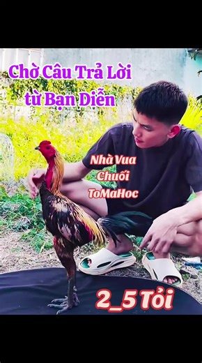 Video của Shop MUN 2019💯 (@shop.mun.2019) với bản nhạc nhạc nền - Đà Lạt ReView Travel