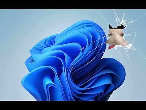 Cat eating a chips through the windows 11 wallpaper