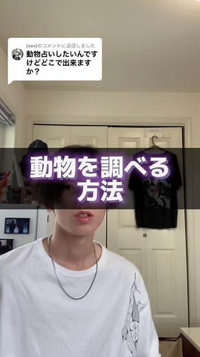 @(•ө•)に返信 動物調べる方法🔎 #個性心理学