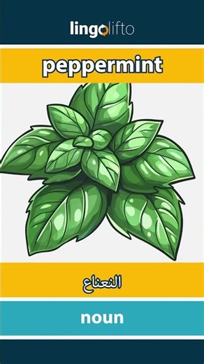 🇬🇧🇪🇬 peppermint - النعناع : learn English : دعنا نتعلم الإنجليزية : vocabulary builder