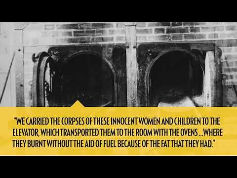 First person account of the Auschwitz-Birkenau gas chambers