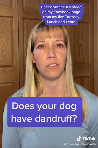 Dr. Emily DVM on TikTok