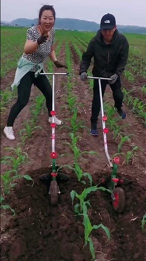 Hardworking Farmer Using Smart Tool 👩‍🌾🌿 | Efficient Fertilizer Use for Better Harvest 🌱✨