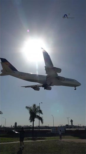‪@Lufthansa‬ Boeing 747-830 landing at LAX (4K) #plane