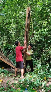 2.5K views · 1.5K reactions | ###臘臘臘 | Local Dancer | Facebook