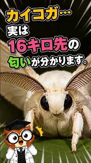 Silkmoths can actually smell things from 10 miles away.