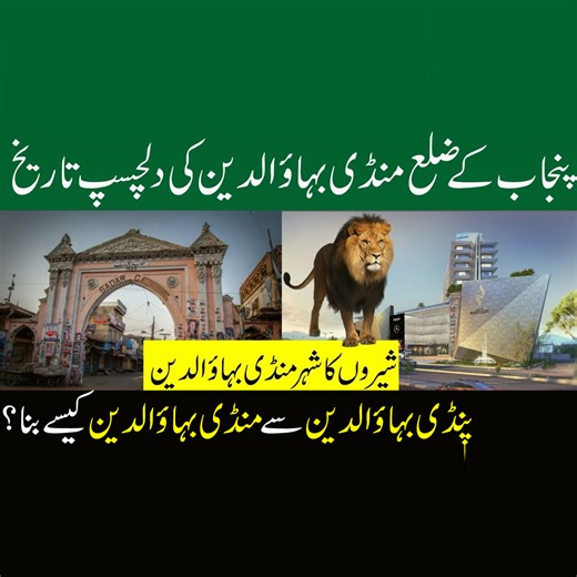 351K views · 8.6K reactions | History of Mandi Bahauddin منڈی بہاؤالدین کی مکمل تاریخ . . . . . #historyexposed #mandibahaudin #mandibahauddincity #mandibahauddinblogger #mandibahauddin♥️ #pakistan #pakistancity #city #village #villagelife #MandiBahauddin #history #historical #place #historicalfacts #PakistanZindabad #mandibahaudddinvillage #documentary #documentaryseries | History Exposed | Facebook