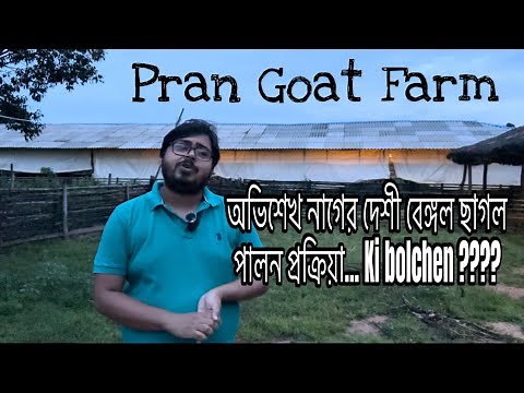 Desi goat farm in Jhargram | Black Bengal Goat Farming | Complete Guide for Beginners!