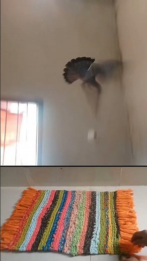 दरी बनाना सीखें * dari banana sikhe