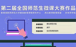 《生态系统的结构》