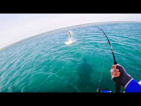 Tarpon Chaos in Key West, Florida! 4K (Part 1 of 2) Fishing the Channels Gets Intense! | The Warm-Up