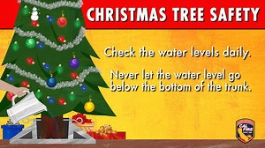 Many of us will be picking up our Christmas trees this weekend. Keep your tree healthier and more fire resistant by ensuring the water level stays above the trunk. So check it daily and keep it filled up! http://calfire.ca.gov/communications/communications_firesafety_holiday | CAL FIRE