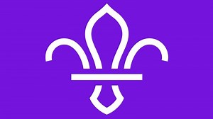 Scouts - Our impacts and reports