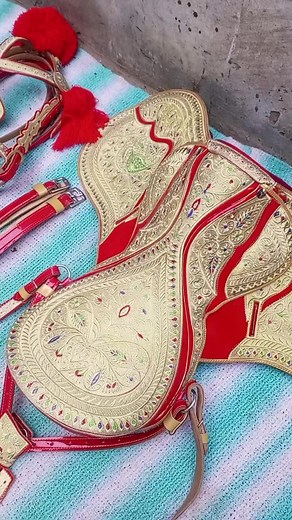 Traditional Horse Tack Showcase: Ornate Saddles and Bridles