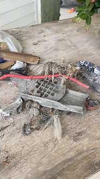 12 02 2025 MineLab XTerra Pro not Jewelry