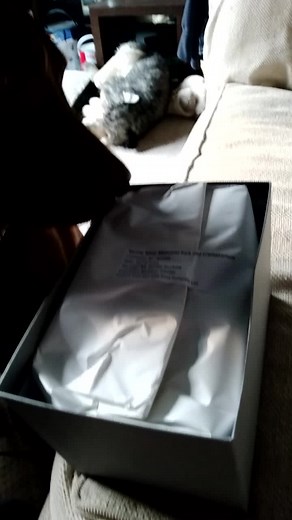 Remembering My Brother: Wispa and His Girl Andy Buckley