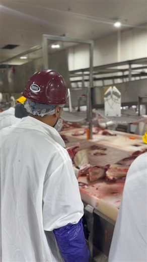 Practice is the hardest part of learning, and training is the essence of transformation. Our efficient training team works diligently to educate and prepare our employees on food safety and ensure the comfort and safety of our workers, animals, and visitors. #training #butchershop #newemployee #hardworking | Harris Ranch Beef
