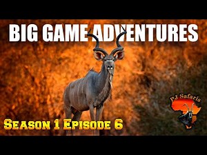 Limpopo Kudu hunt with extra plainsgame on safari in the Limpopo Valley - S1 EP6