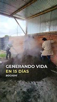 Este abono genera VIDA en 15 días (Bocashi paso a paso)