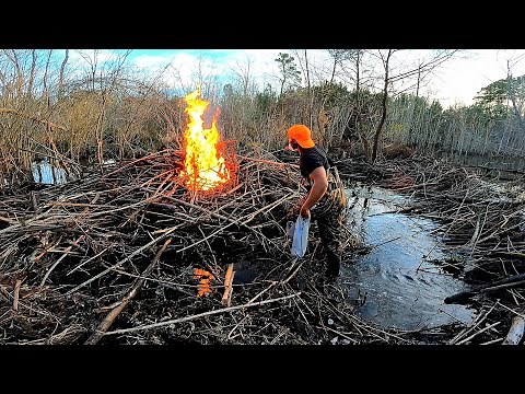 Burning In The Swamp! || BEAVER DAM REMOVAL IN GATOR CREEK! S4 EP.6!