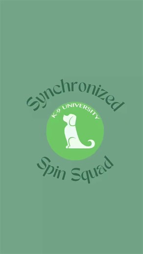 🎉 Check out these amazing Trick Dog Students showing off their fantastic spin trick! 🐶✨ We're so proud of all their progress in our Trick Dog course! Ready for some tail-wagging fun? 🐕❤️ Enroll now and let your pup join the trickster crew! 🧡 #TrickDog #TrickDogTraining #DogTraining #DogTrainer #Covina