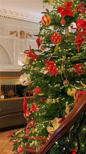 TheBaileys_ChristmasVideo