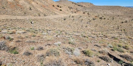 BLM approves exploratory drilling in Inyo County