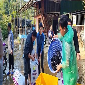 Ang paglalakbay ni Hieu Van upang simulan ang kanyang karera sa pagpapalaki ng sturgeon | Ong Bắp Cày