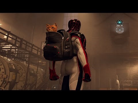 Spider-Man: Miles Morales - Saving Spidey-Cat | Returning Spider-Man (Cat) to Teo