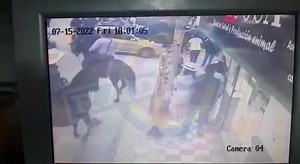 48K views · 387 reactions | Un sujeto a bordo de una camioneta Toyota...